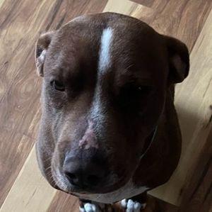 Meet your Posher, Deanna